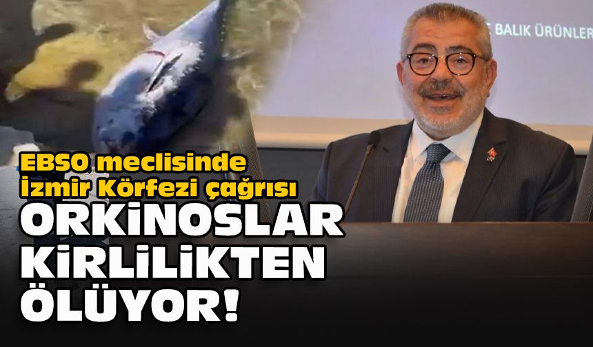 EBSO meclisinde İzmir Körfezi çağrısı... "Orkinoslar kirlilikten ölüyor!"