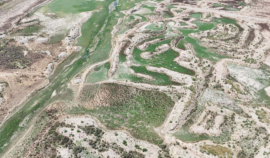 'Su kaynaklarının azalması tarımı sert şekilde etkiliyor'