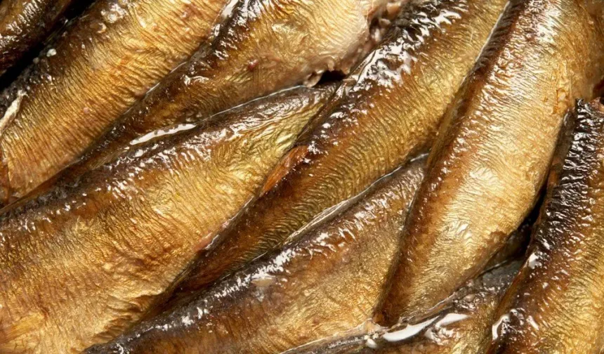 Uzmanlara göre hafızayı güçlendiren 8 vitamin