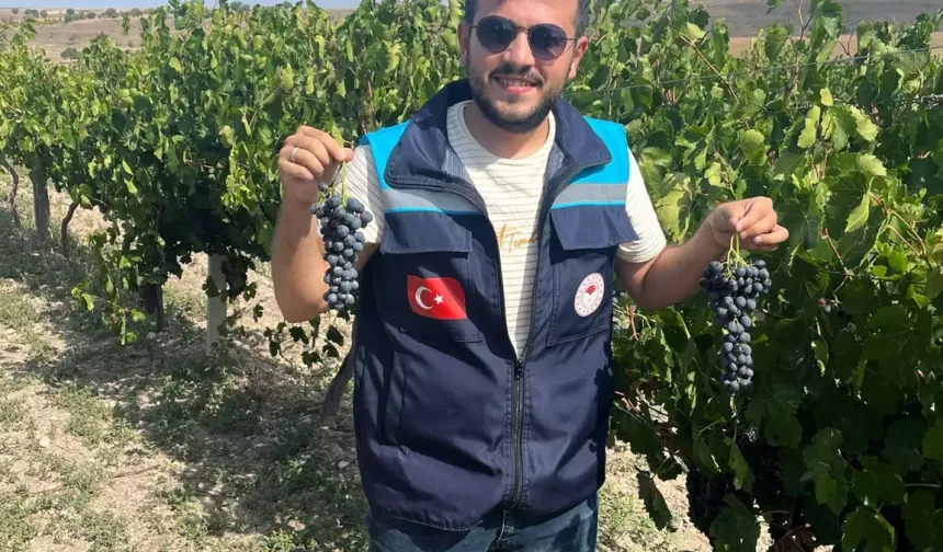 Afyonkarahisar'ın Karacalar üzümüne coğrafi işaret