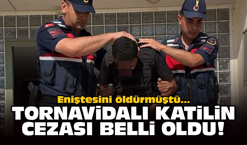 Eniştesini öldürmüştü: Tornavidalı katilin cezası belli oldu!
