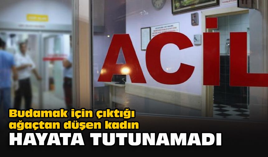 Budamak için çıktığı ağaçtan düşen kadın hayata tutunamadı