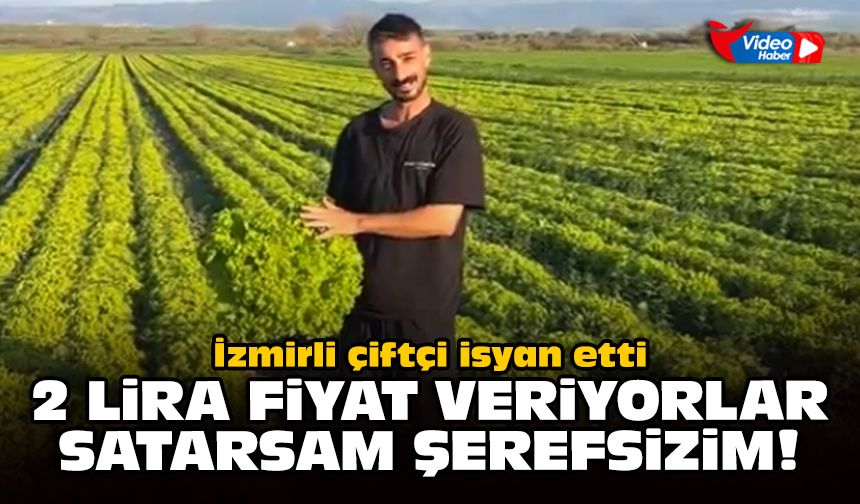 İzmirli çiftçi isyan etti: 2 lira fiyat veriyorlar, satarsam şerefsizim!
