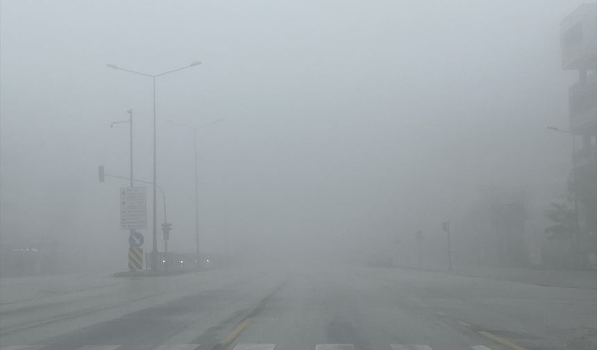 Denizli'de sis ulaşımı etkiledi