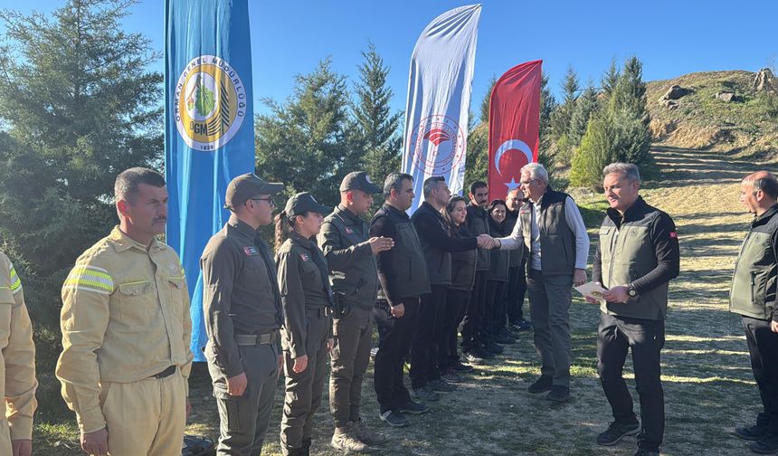 Dalaman'da yanan alanlar tekrar yeşerdi