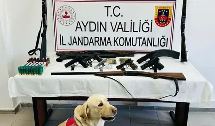 Aydın'da yasa dışı silah ticareti operasyonu: 1 kişi gözaltında!