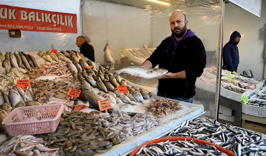 Balık tezgahları dolup taştı: Vatandaşın favorisi sardalya!