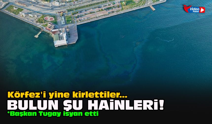 Körfez'i yine kirlettiler... Bulun şu hainleri!