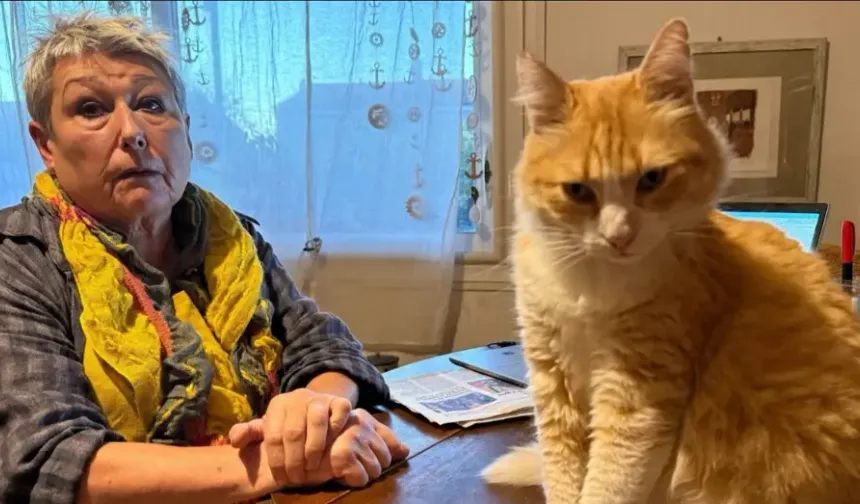 Kediye ev hapsi verildi: Ağır para cezası yedi!