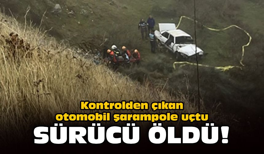 Kontrolden çıkan otomobil şarampole uçtu: Sürücü öldü!