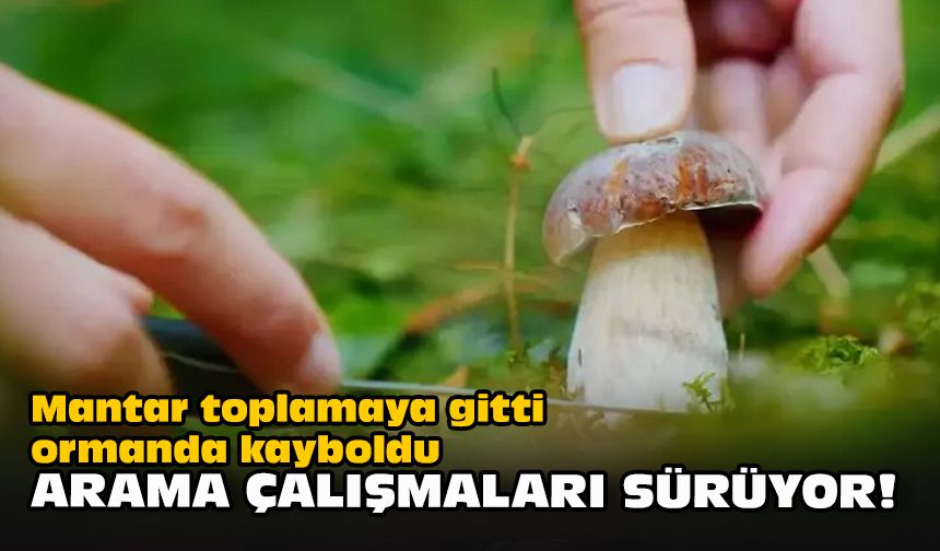 Mantar toplamaya gitti ormanda kayboldu... Arama çalışmaları sürüyor!