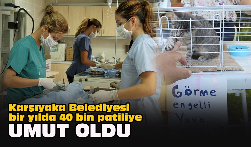 Karşıyaka Belediyesi bir yılda 40 bin patiliye umut oldu