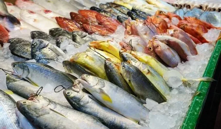 Balığın taze olduğu nasıl anlaşılır?