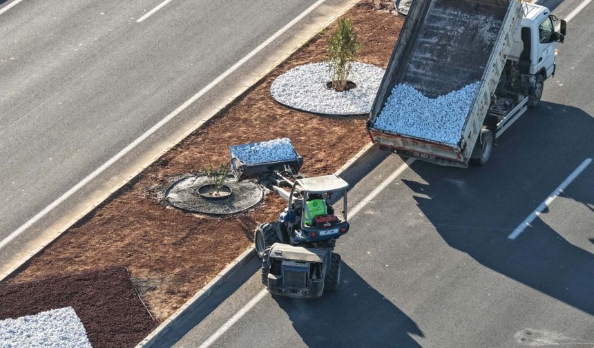 Aydın'da peyzaj çalışmaları sürüyor