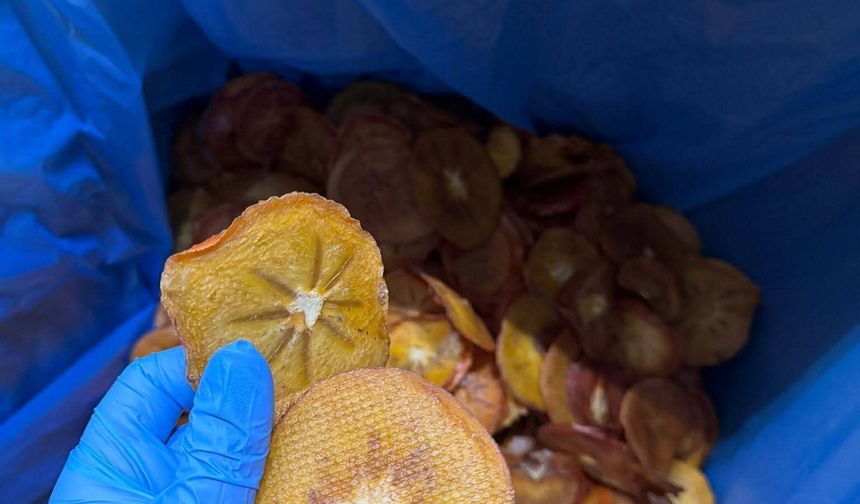 İhraç gıda ürünlerine denetim