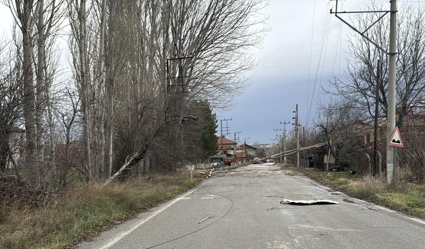 Kenti kuvvetli fırtına vurdu: Ağaçlar devrildi!