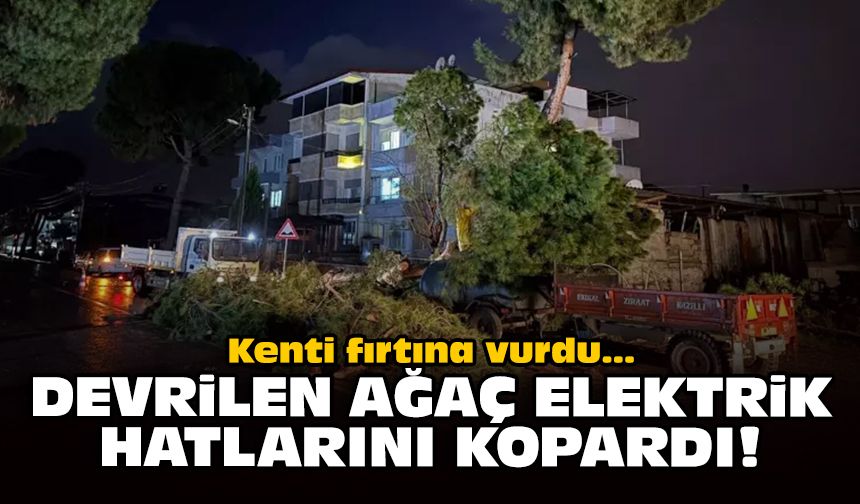 Kenti fırtına vurdu: Devrilen ağaç elektrik hatlarını kopardı!