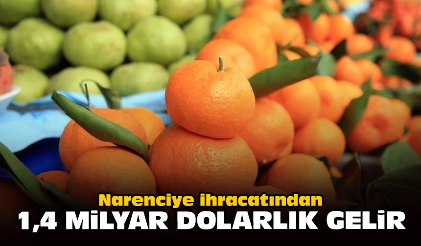 Narenciye ihracatından 1,4 milyar dolarlık gelir