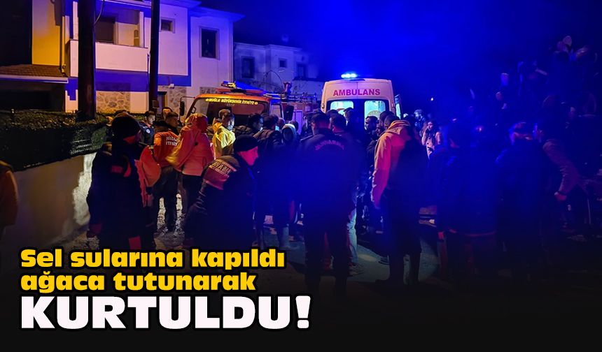Sel sularına kapıldı ağaca tutunarak kurtuldu!