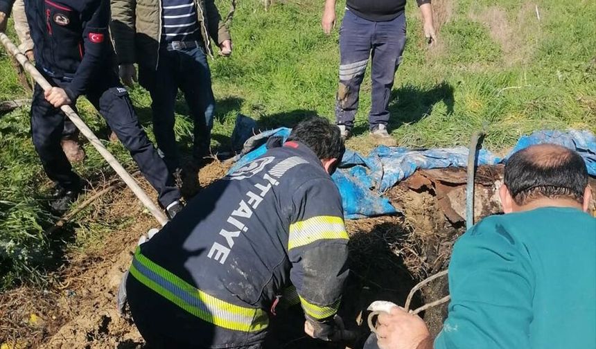 Foseptik çukuruna düşen inek itfaiye ekiplerince kurtarıldı