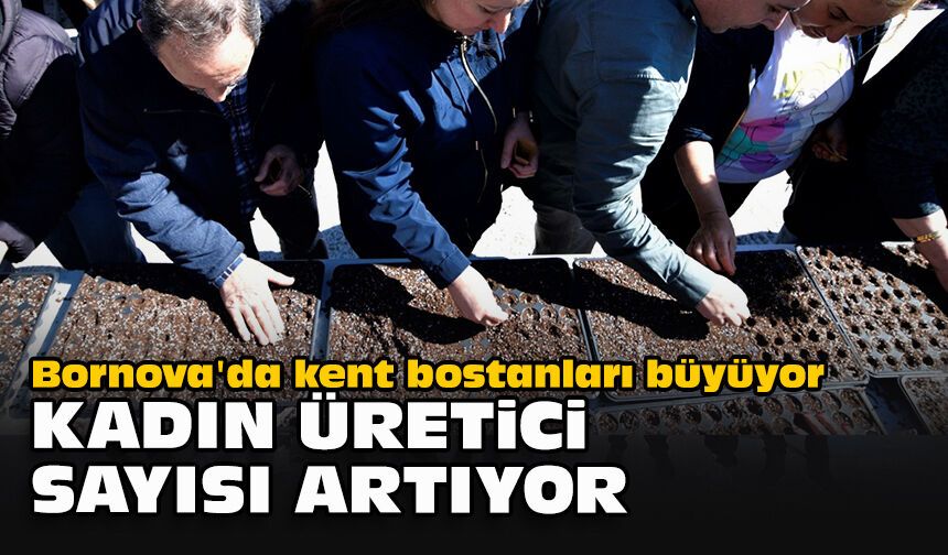 Bornova'da kent bostanları büyüyor... Kadın üretici sayısı artıyor