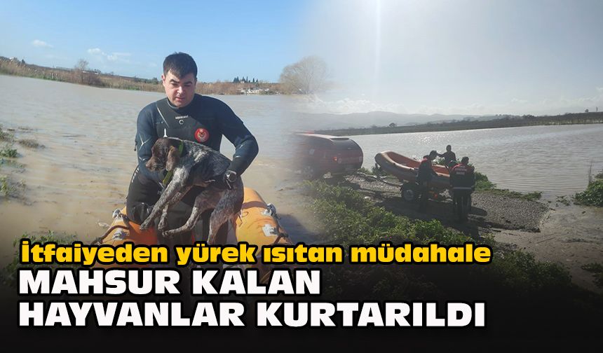 İtfaiyeden yürek ısıtan müdahale: Mahsur kalan hayvanlar kurtarıldı
