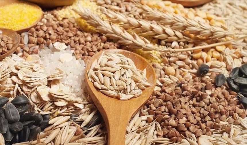 Ege Bölgesi'nin 2025'teki tarım ürünleri ihracatı 7,5 milyar dolara ulaştı