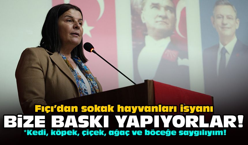 Fıçı’dan sokak hayvanları isyanı: Bize baskı yapıyorlar!