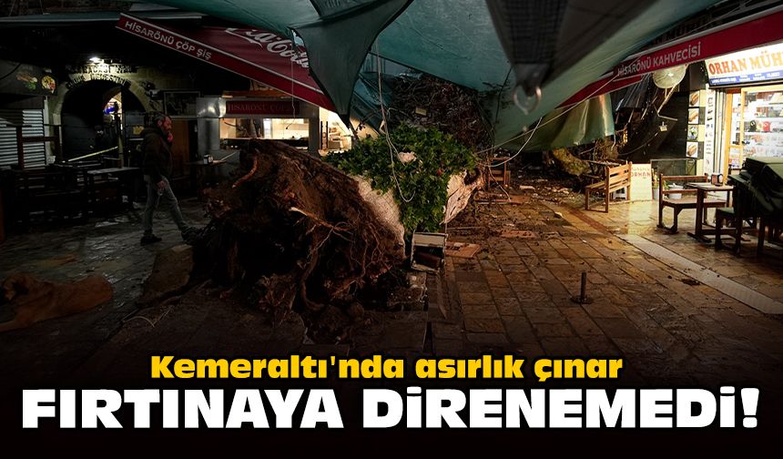 Kemeraltı'nda asırlık çınar, fırtınaya dayanamadı!