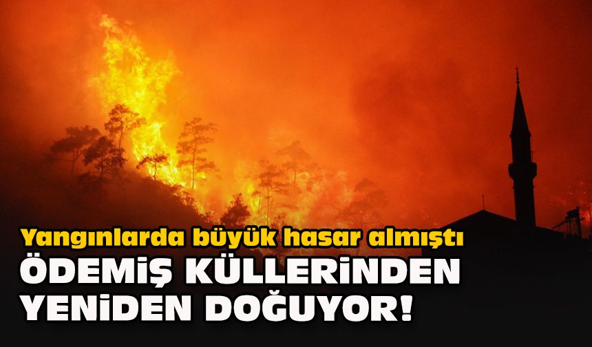 Yangınlarda büyük hasar almıştı... Ödemiş küllerinden yeniden doğuyor!