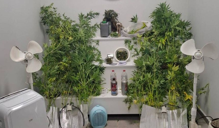 Zehir yetiştirdiği evde yakalandı!