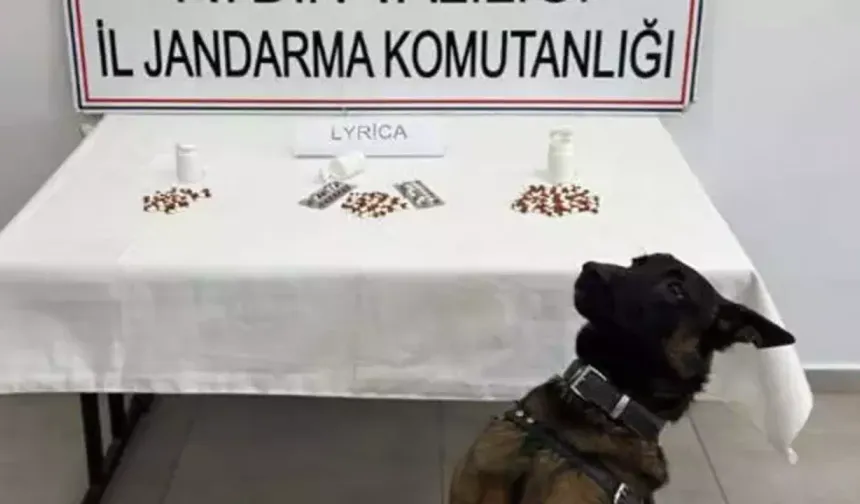 Aydın'da uyuşturucu operasyonu: 10 tutuklama