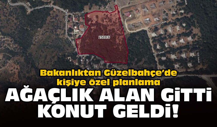 Bakanlıktan Güzelbahçe’de kişiye özel planlama: Ağaçlık alan gitti konut geldi!