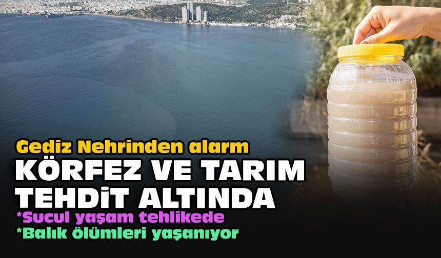 Gediz Nehrinden alarm: Körfez ve tarım tehdit altında