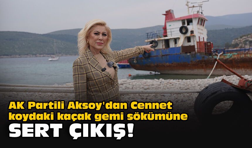 AK Partili Aksoy'dan Cennet koydaki kaçak gemi sökümüne sert çıkış!
