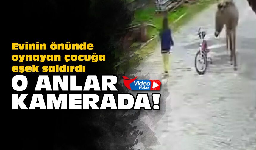 Evinin önünde oynayan çocuğa eşek saldırdı: O anlar kamerada
