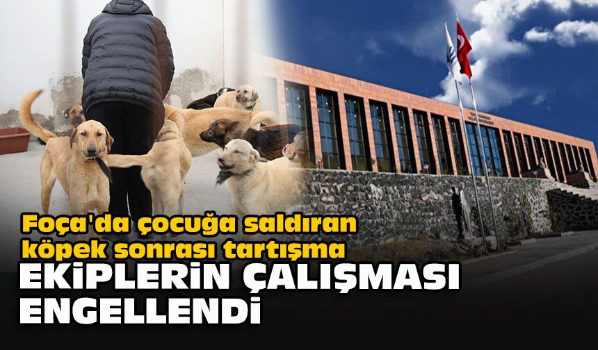 Foça'da çocuğa saldıran köpek sonrası tartışma: Ekiplerin çalışması engellendi