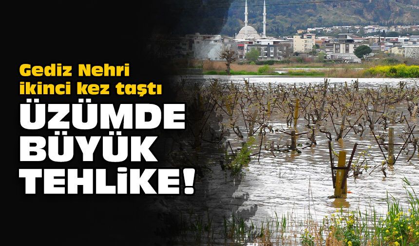 Gediz Nehri ikinci kez taştı: Üzümde büyük tehlike!