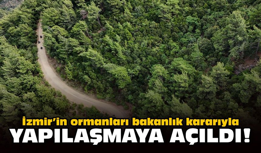 İzmir’in ormanları bakanlık kararıyla yapılaşmaya açıldı