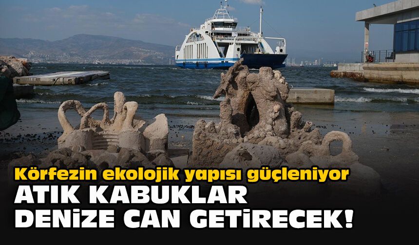 Körfezin ekolojik yapısı güçleniyor... Atık kabuklar denize can getirecek!