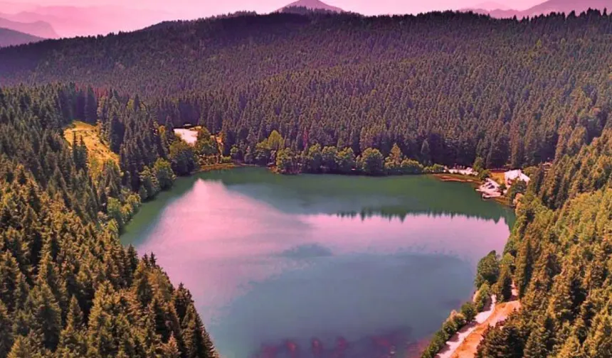 Milli parklara yönelik düzenlemeler içeren kanun Resmi Gazete'de