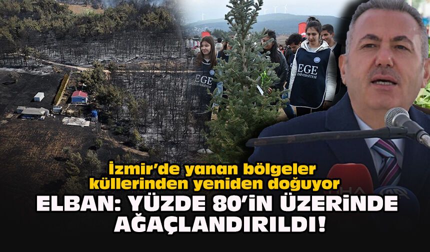 İzmir’de yanan bölgeler küllerinden yeniden doğuyor... Elban: Yüzde 80’in üzerinde ağaçlandırıldı!