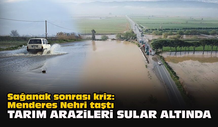 Sağanak sonrası kriz: Menderes Nehri taştı... Tarım arazileri sular altında