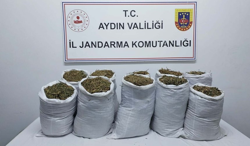 Aydın'da zehir operasyonu; 2 gözaltı