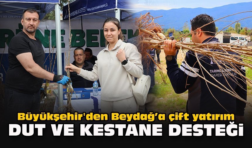 Büyükşehir'den Beydağ’a çift yatırım: Dut ve kestane desteği