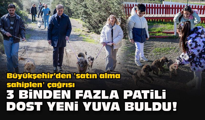 Büyükşehir’den 'satın alma, sahiplen' çağrısı: 3 binden fazla patili dost yeni yuva buldu!