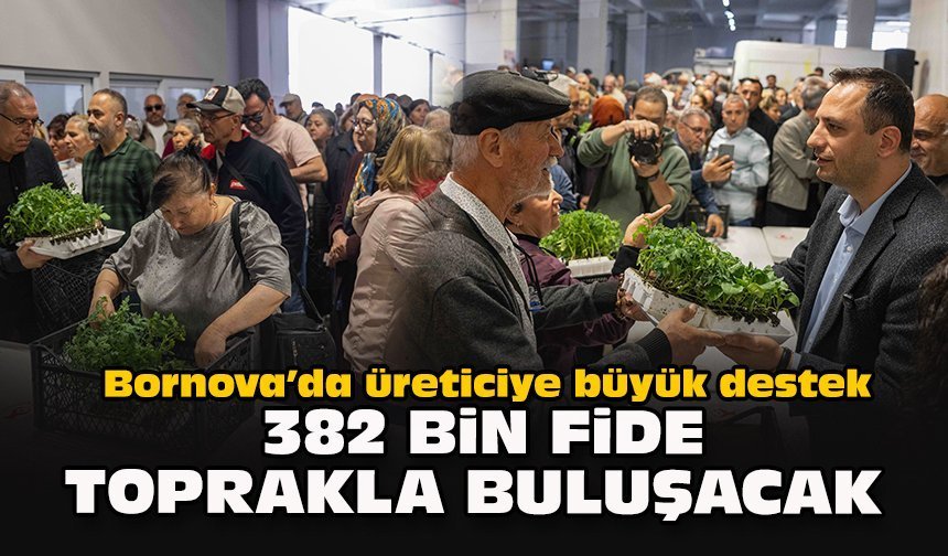 Bornova’da üreticiye büyük destek... 382 bin fide toprakla buluşacak