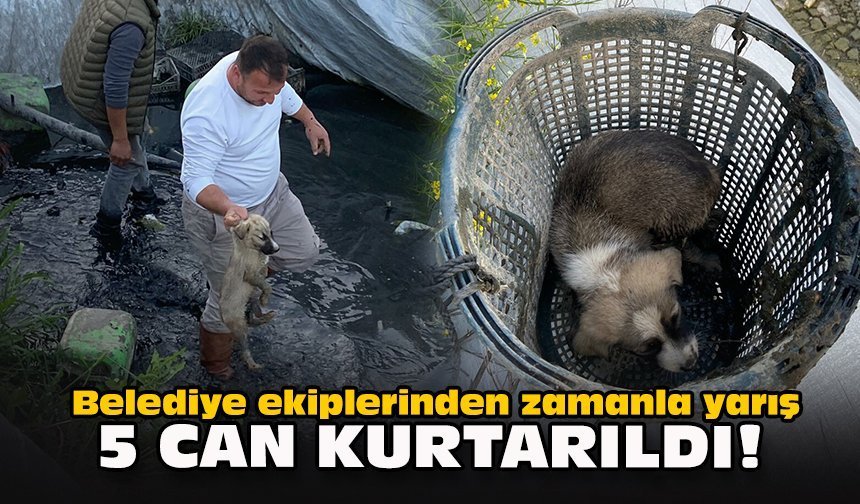 Belediye ekiplerinden zamanla yarış: 5 can kurtarıldı!