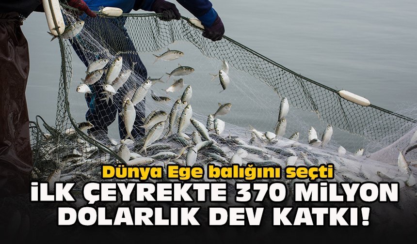 Dünya Ege balığını seçti... İlk çeyrekte 370 milyon dolarlık dev katkı!