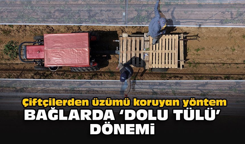 Çiftçilerden üzümü koruyan yöntem: Bağlarda “dolu tülü” dönemi
